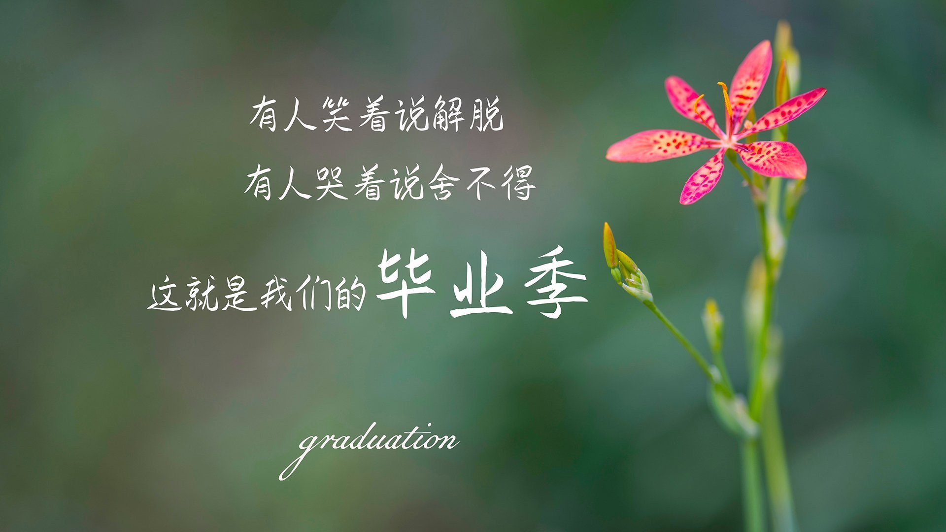 开云体育链接-俱乐部管理层决策缺少专业支持，俱乐部型管理风格是什么