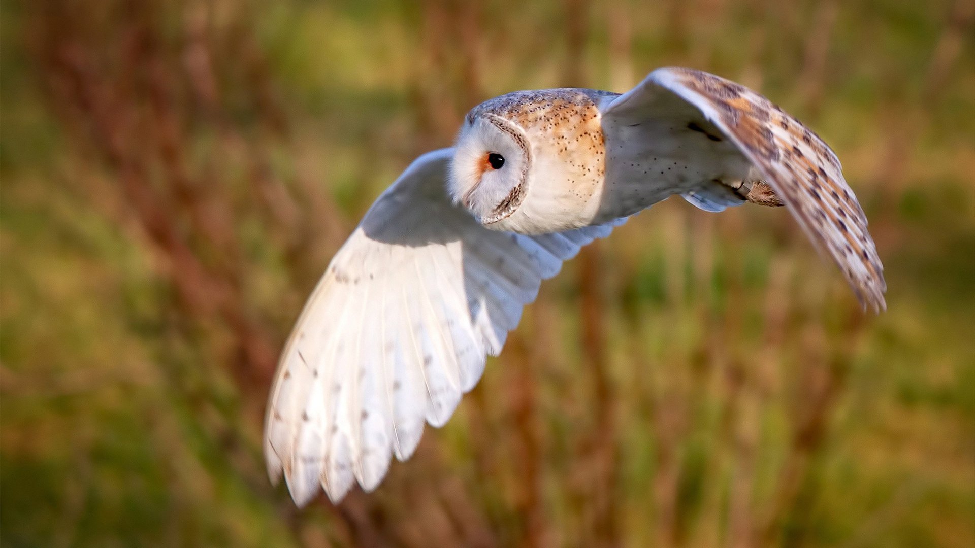 心理素质稳定,发挥更稳定,心理素质具有不稳定性
